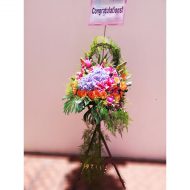 IMG_20210722_123505