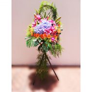 IMG_20210722_123536