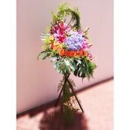 IMG_20210722_123550