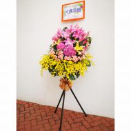 IMG_20220110_092251m