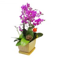 IMG_20220711_220128